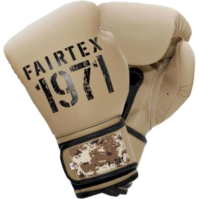 Боксерские перчатки Fairtex F-Day2 BGV25 - фото 1