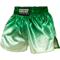 Тайские шорты Hardcore Training Gradient Green l зеленый