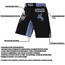 Тренировочные шорты Hardcore Training Knight xl черный