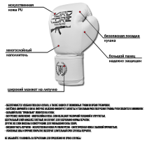 Боксерские перчатки Hardcore Training AK PU White 12унц. черный