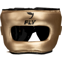 Шлем Fly Superbar X Gold/Black золотой xl
