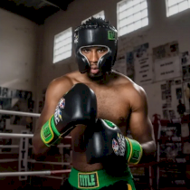 Боксерские перчатки Title Boxing WBC 16 унц. зеленый