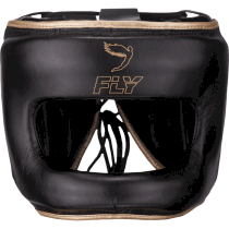 Шлем Fly Superbar X Black/Gold серебряный l