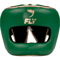 Шлем Fly Superbar X Green/Gold