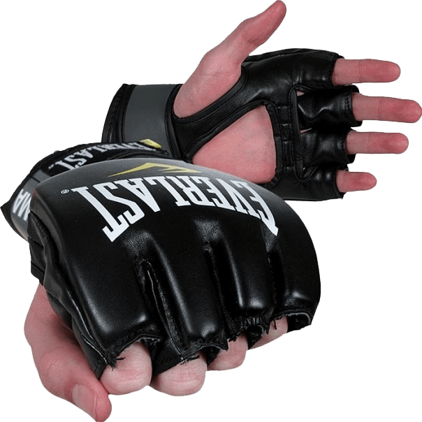 Перчатки Everlast Pro Style Grappling