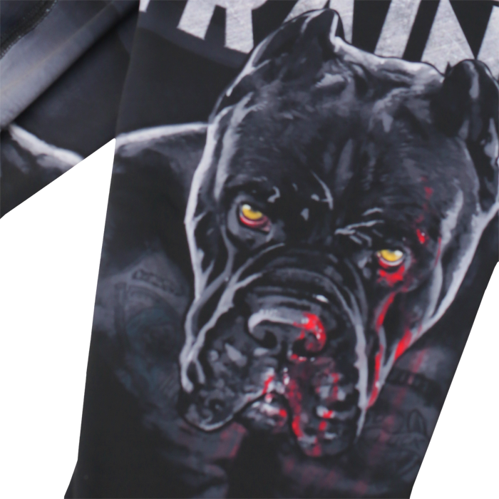 Компрессионные штаны Hardcore Training х Ground Shark The Moment of Truth - фото 6