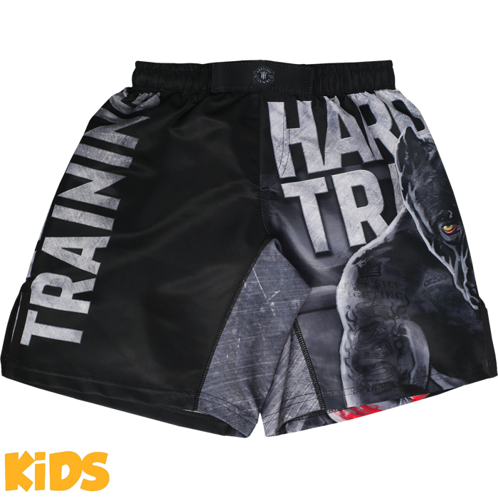 Детские шорты Hardcore Training х Ground Shark The Moment of Truth - фото 1