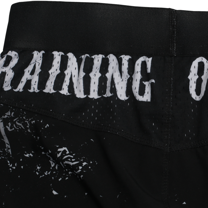 Тренировочные шорты Hardcore Training Sons Of Hardcore - фото 6