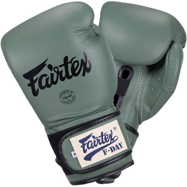Боксерские перчатки Fairtex F-Day BGV11 - фото 1