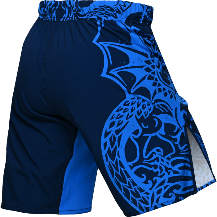 Шорты Hardcore Training Heraldry Blue - фото 4