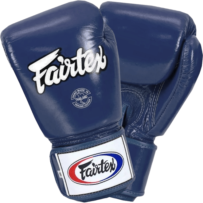 Боксерские перчатки Fairtex BGV1 Blue - фото 1