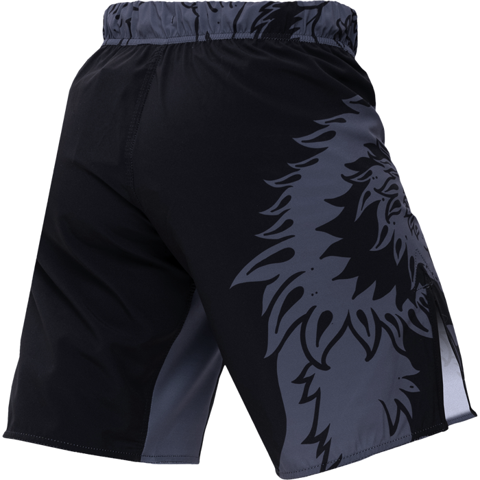 Шорты Hardcore Training Heraldry Black - фото 4