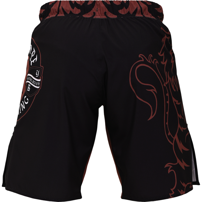 Шорты Hardcore Training Heraldry Brown - фото 4