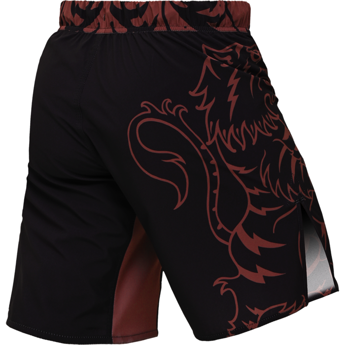 Шорты Hardcore Training Heraldry Brown - фото 5