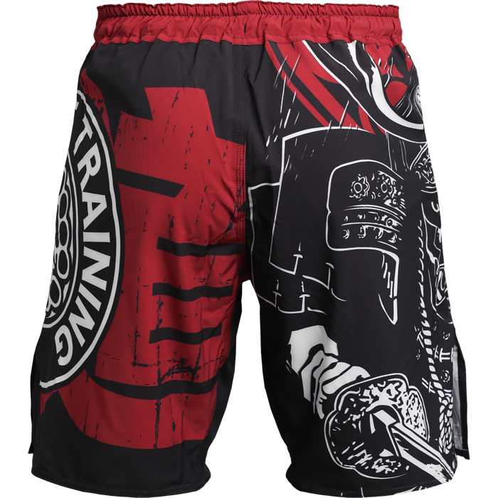 Шорты Hardcore Training Budo - фото 4
