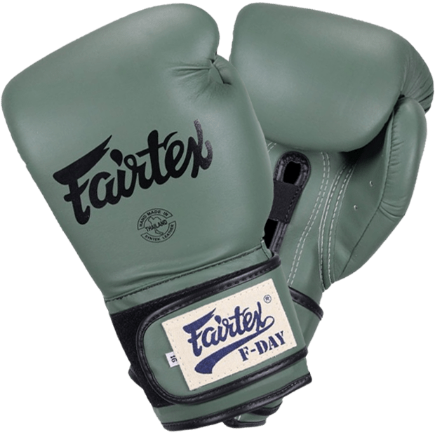 Боксерские перчатки Fairtex F-Day BGV11 - фото 2