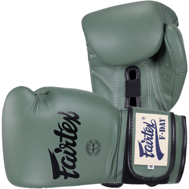 Боксерские перчатки Fairtex F-Day BGV11 - фото 3