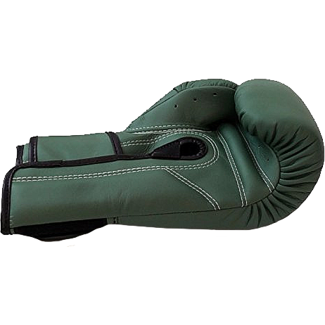 Боксерские перчатки Fairtex F-Day BGV11 - фото 4