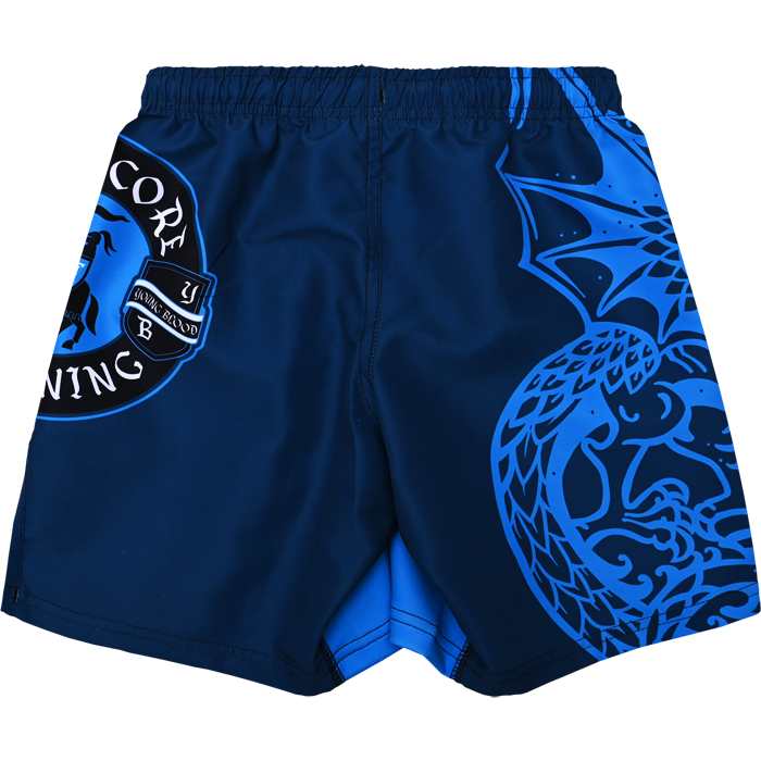 Детские шорты Hardcore Training Heraldry Blue - фото 3