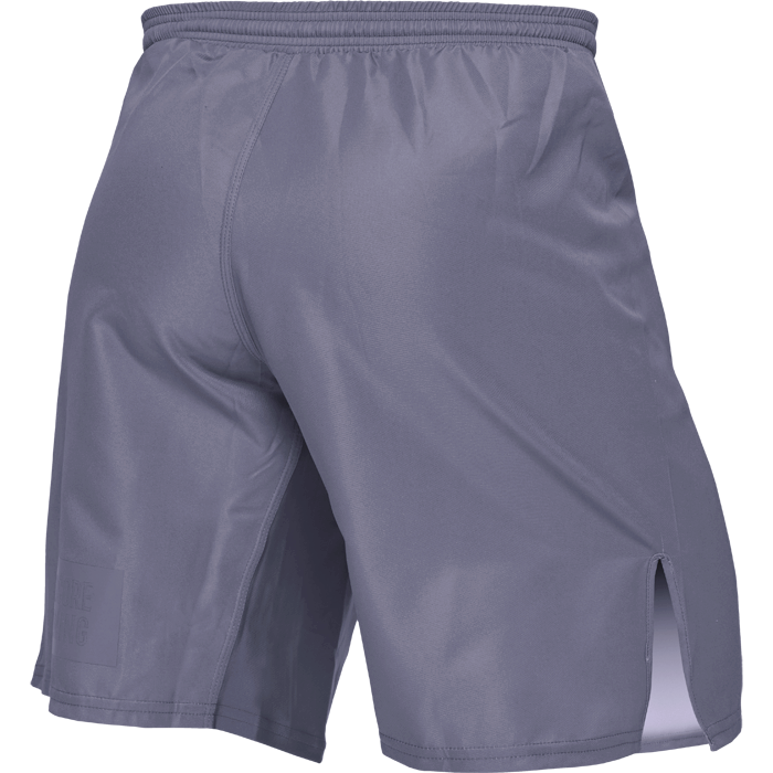 Шорты Hardcore Training Base Gray - фото 4