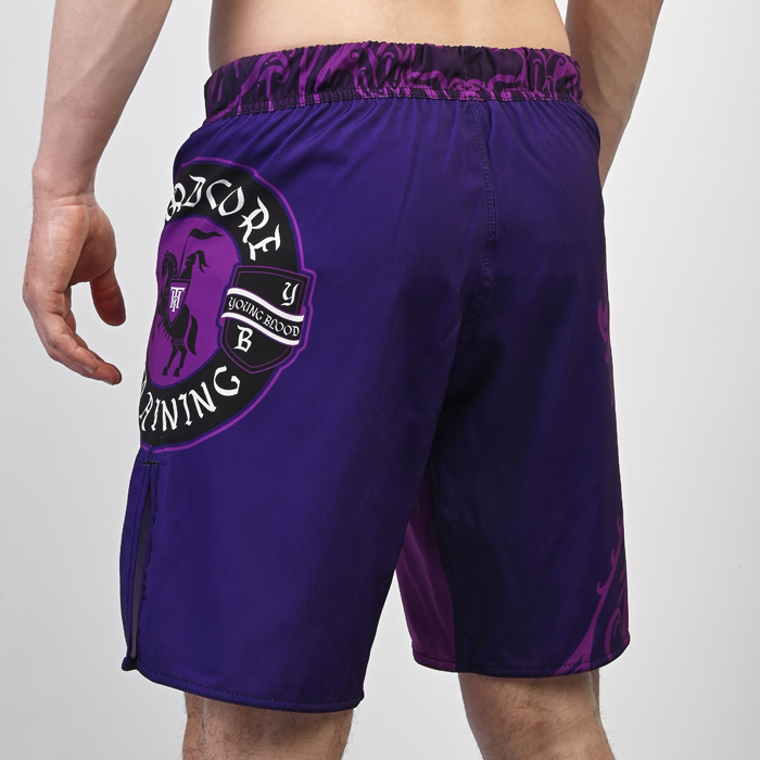 Шорты Hardcore Training Heraldry Magenta - фото 6