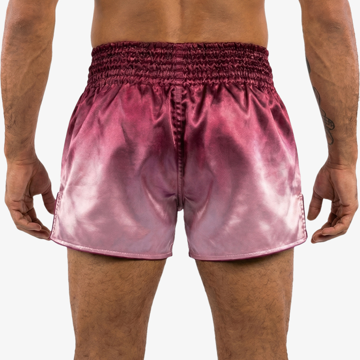 Тайские шорты Hardcore Training Gradient Bordeaux - фото 4