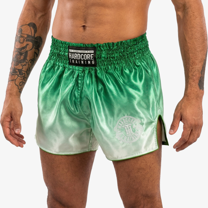 Тайские шорты Hardcore Training Gradient Green - фото 2