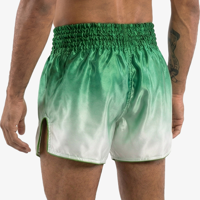 Тайские шорты Hardcore Training Gradient Green - фото 3
