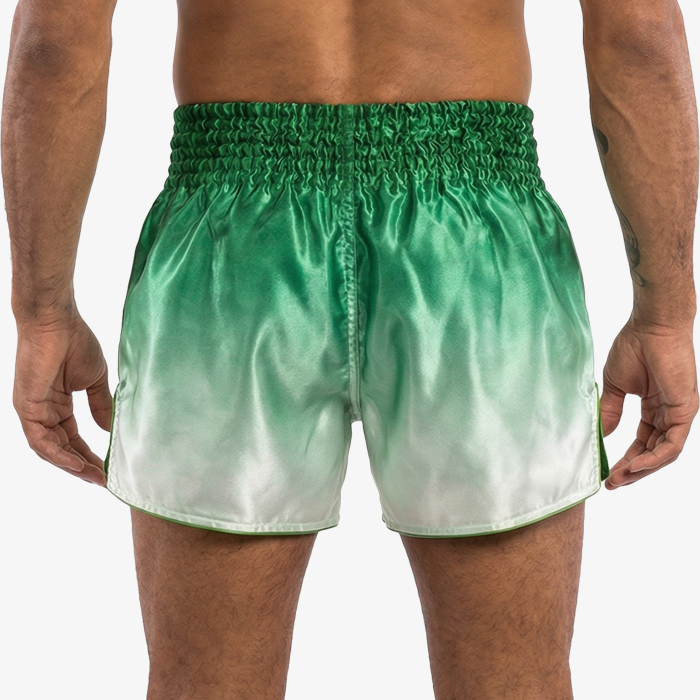 Тайские шорты Hardcore Training Gradient Green - фото 4