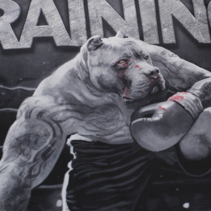 Рашгард Hardcore Training х Ground Shark Die Hard - фото 9