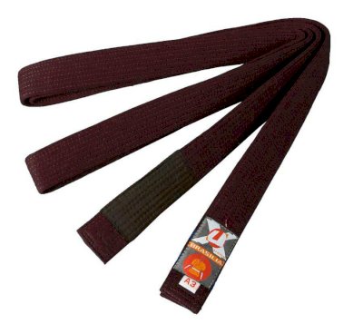 Аттестация на коричневые пояса