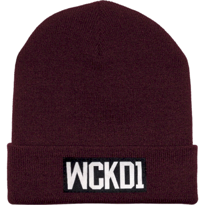 Зимняя шапка Wicked One Crack