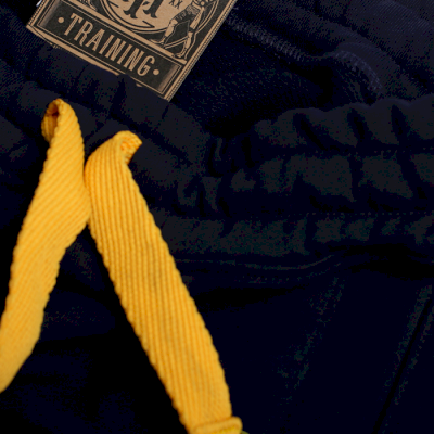 Спортивные штаны Hardcore Training Holmgang Navy - фото 5