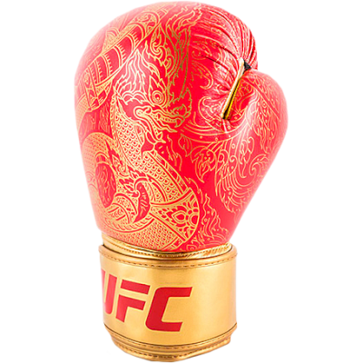 Перчатки UFC Pro Thai Naga - фото 2