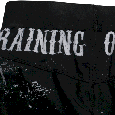 Тренировочные шорты Hardcore Training Sons Of Hardcore - фото 5