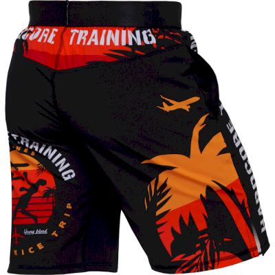 Тренировочные шорты Hardcore Training Voyage Black - фото 4