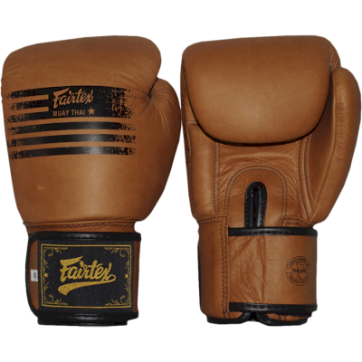 Боксерские перчатки Fairtex BGV21 Legacy - фото 1
