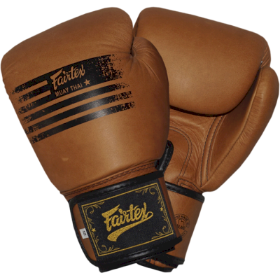 Боксерские перчатки Fairtex BGV21 Legacy - фото 2