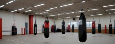 Боксерские груши: классификация, назначение, особенности выбора