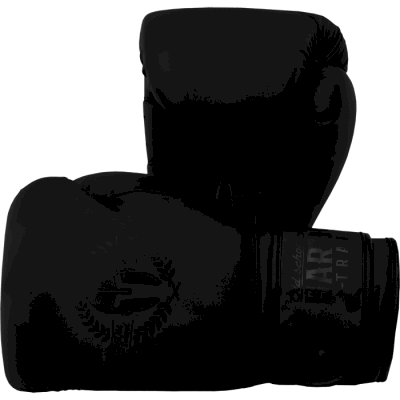 Боксерские перчатки Hardcore Training Helmet PU Black/Black - фото 1