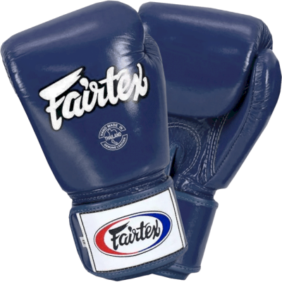 Боксерские перчатки Fairtex BGV1 Blue