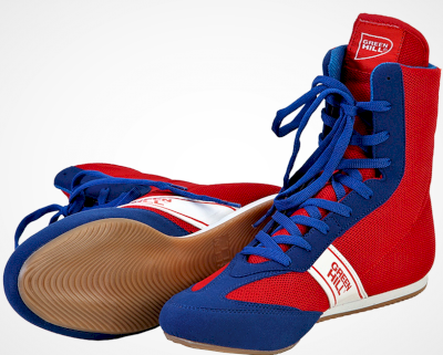 Разновидности детской обуви для единоборств: борцовки, боксерки и другие виды