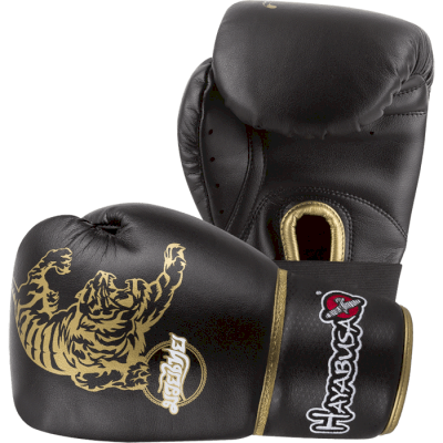 Перчатки Hayabusa Muay Thai 10oz