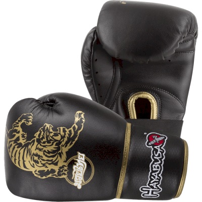 Боксерские перчатки Hayabusa Muay Thai 10oz