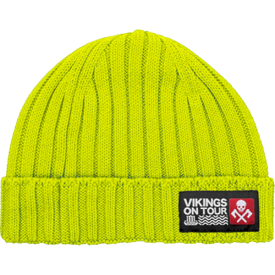 Шапка Hardcore Training Vikings On Tour Pear