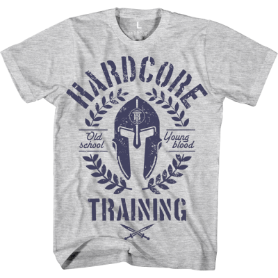 Футболка Hardcore Training Helmet Grey Melange