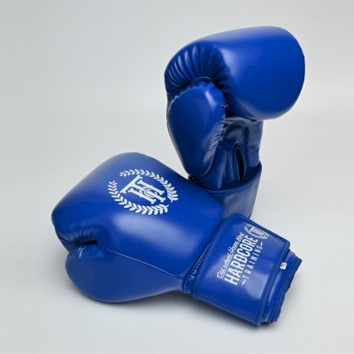 Боксерские перчатки Hardcore Training Base PU Blue