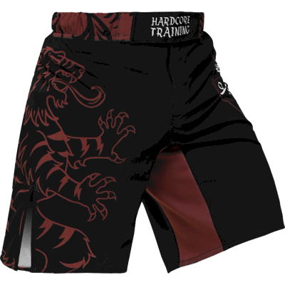 Шорты Hardcore Training Heraldry Brown