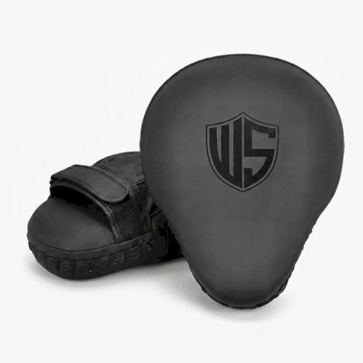 Боксёрские лапы Warrior Spirit