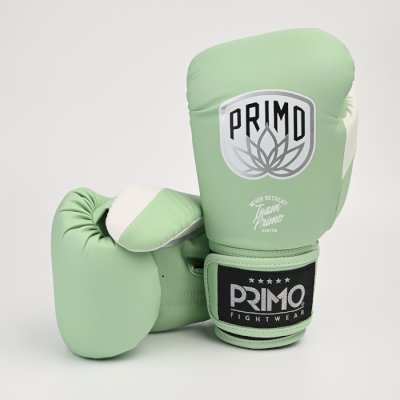 Боксерские перчатки Primo Emblem II Semi Leather Mantis